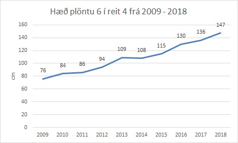 Mælingar á hæð einnar plöntu á Skeiðarársandi, árin 2009-2018. Hún hefur hækkað um 71 cm á 10 árum, eða 7,1 cm á ári.
